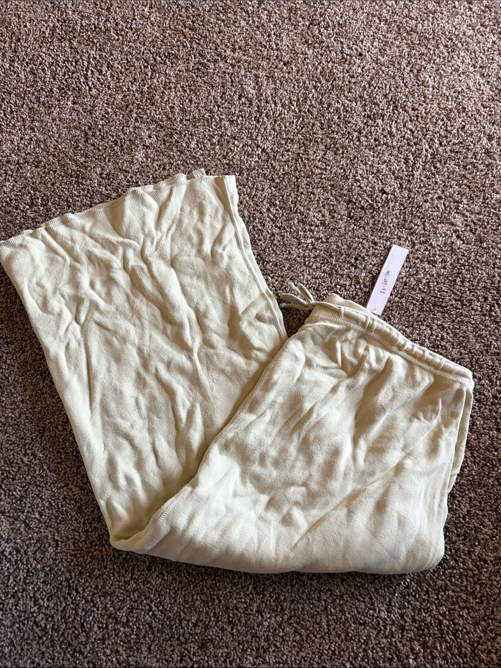 Eddie Bauer Sage Green Cozy Drawstring Sweats
